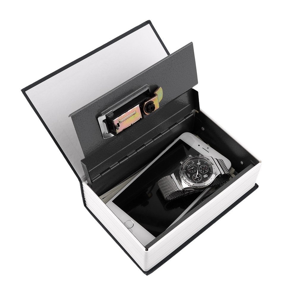 Hidden Dictionary Lock Box