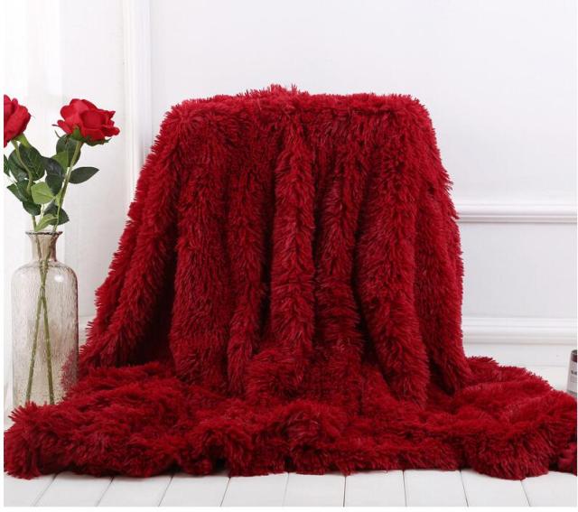 Fourrure Cozy Fluffy Blanket